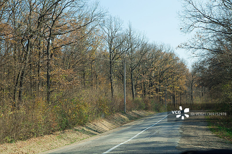 穿过森林的沥青路，天空下的树木，摩尔多瓦图片素材