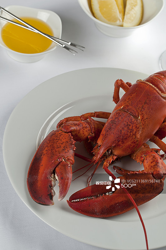 盘中熟龙虾图片素材