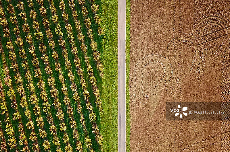 农业田地的航拍景观，法国达夫龙图片素材