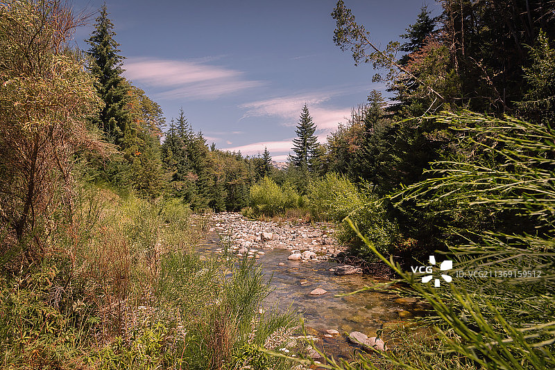 阿根廷安戈斯图拉镇森林风光图片素材