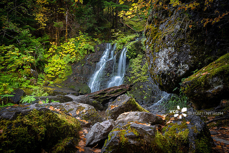 路边瀑布：雷尼尔山国家公园的森林瀑布美景，美国华盛顿图片素材