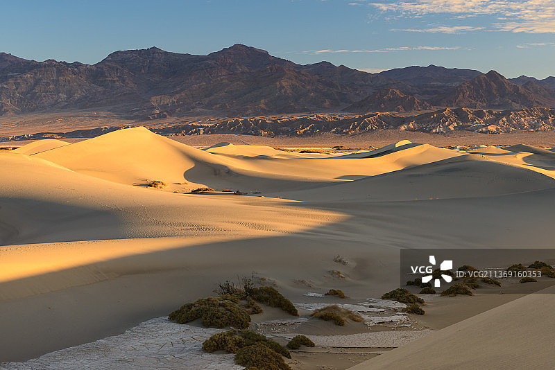 美国的梅斯基特沙丘沙漠风光图片素材