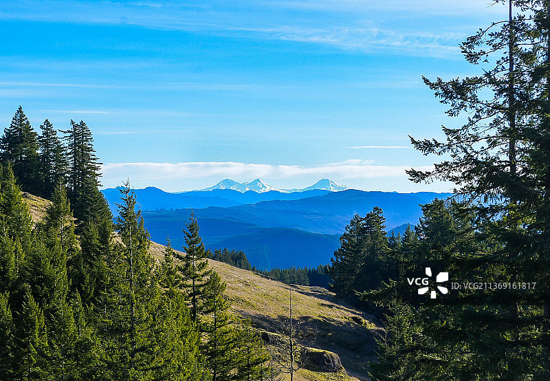 俄勒冈州三姐妹峰松树山脉美景，美国图片素材