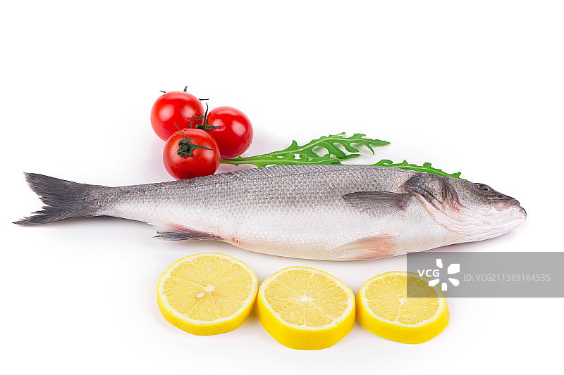 新鲜海鲈鱼组合白色背景上的海鲈鱼特写图片素材