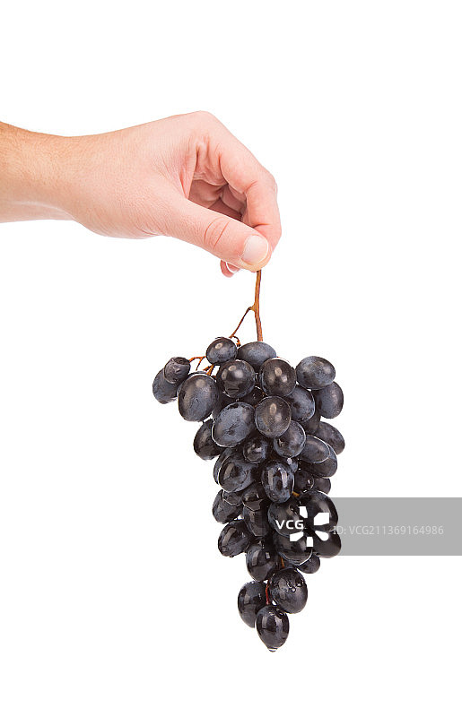 手持黑葡萄（摩尔多瓦）图片素材