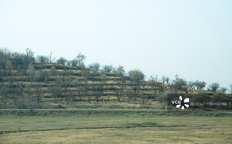 摩尔多瓦的蓝天秋林图片素材