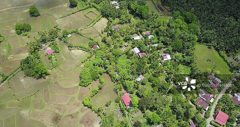 美丽的自然风光，从高处俯瞰田野上的树木，亚齐 besar 县，亚齐，印度尼西亚图片素材