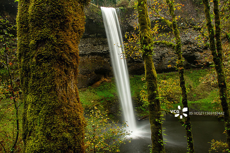 银瀑州立公园的南瀑布，森林中瀑布的风景，美国图片素材
