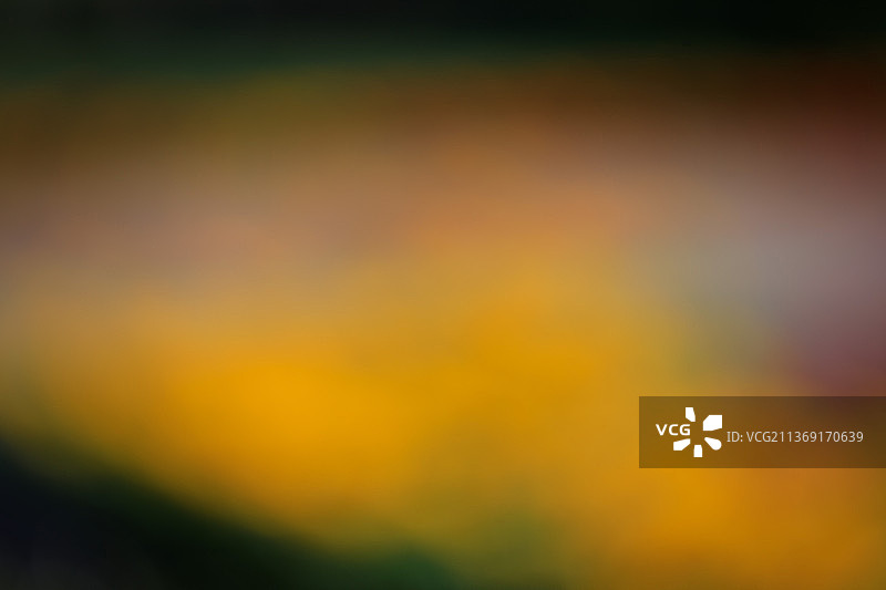 抽象背景的全帧镜头图片素材