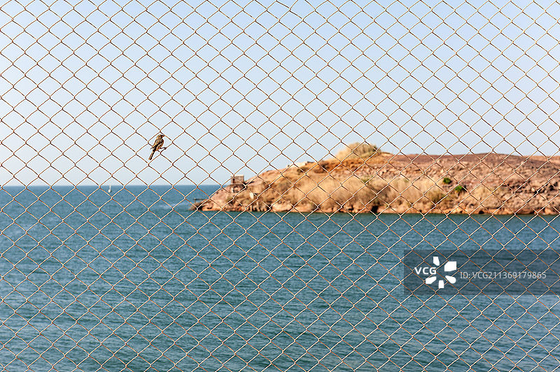 纳赛尔湖图片素材