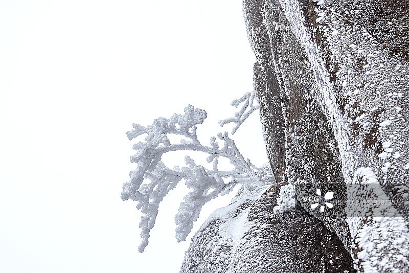 雪中黄山图片素材
