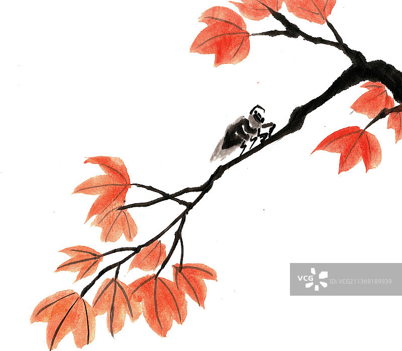 枫叶与蝉图片素材