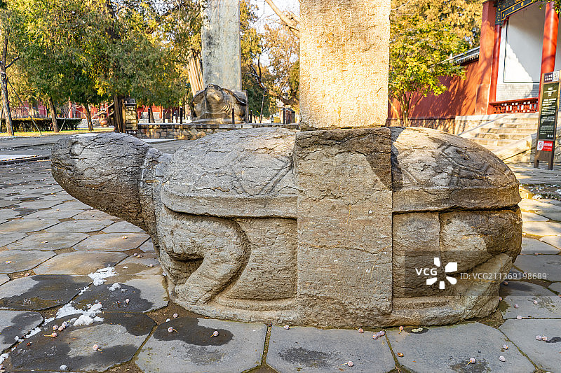 中国山东泰安著名景点泰山风景区岱庙行宫里背石碑的乌龟赑屃图片素材