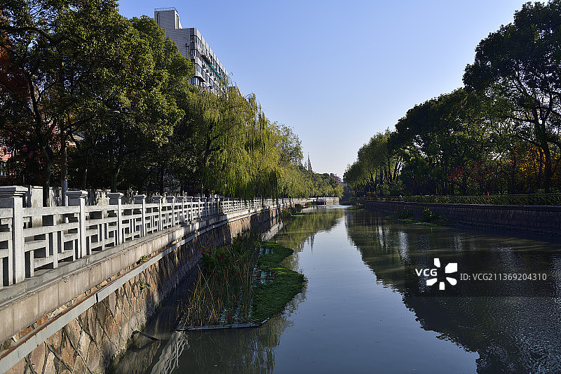 河道与林荫路图片素材