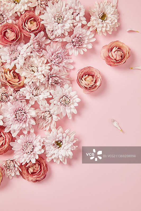 鲜花铺在背景纸上图片素材