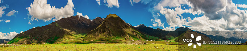 西藏的夏天全景图图片素材