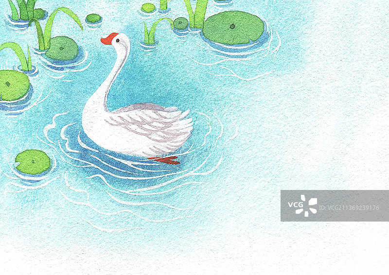 古诗鹅鹅鹅图片素材