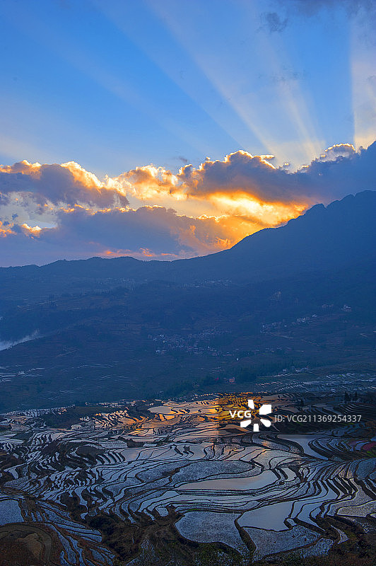 朝霞映照着云南元阳哈尼梯田图片素材