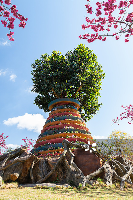 花塔树图片素材