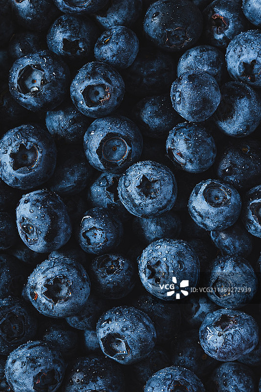 多汁蓝莓蓝莓全画幅镜头图片素材