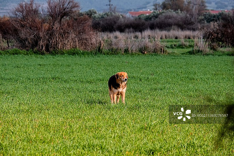 我该留下还是离开图片素材