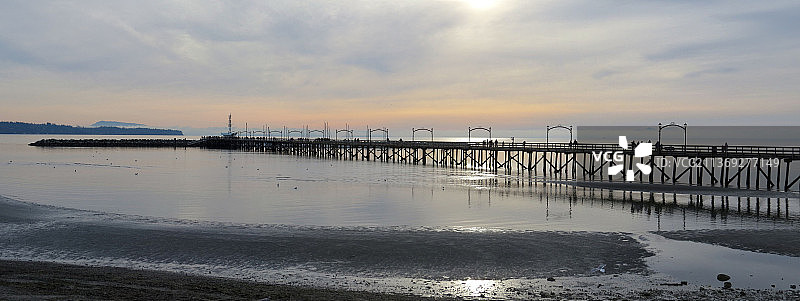 加拿大不列颠哥伦比亚省白石镇西海岸最长的木制码头图片素材