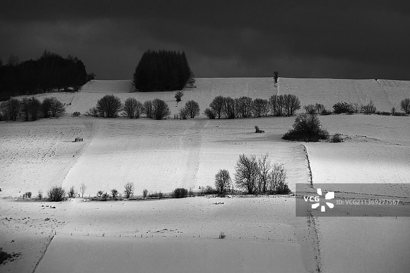 白雪覆盖的田野映衬着天空的风景图片素材
