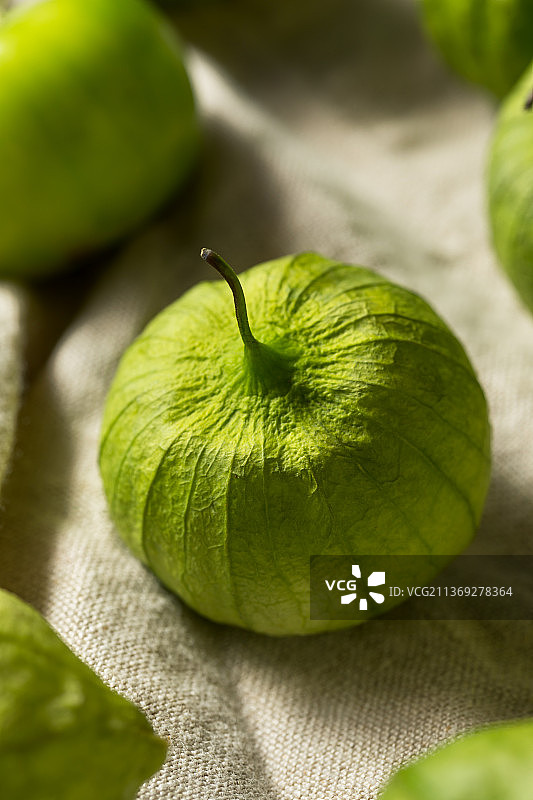 有机绿色新鲜番茄图片素材