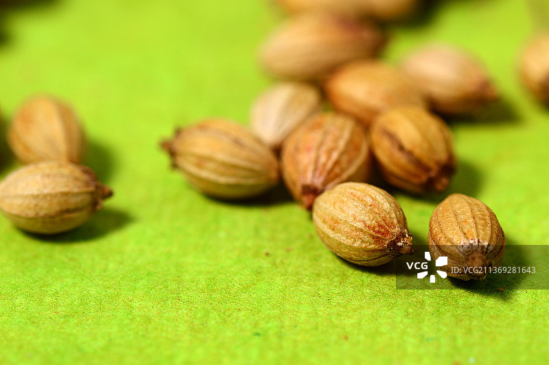 绿色背景上的香菜籽和香菜粉图片素材