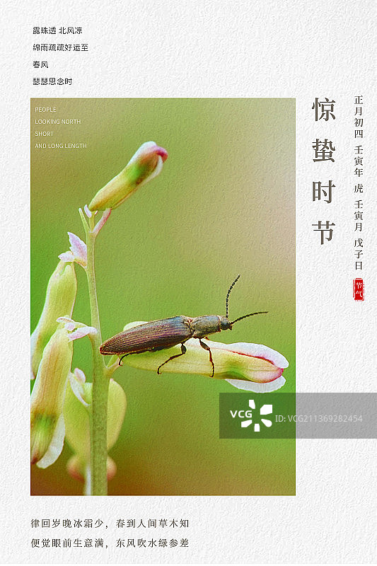 2022惊蛰风景传统二十四节气海报模板图片素材