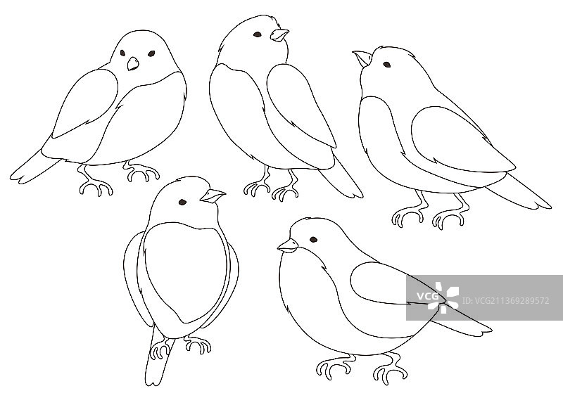 一组野生小鸟的程式化鸟类图像图片素材