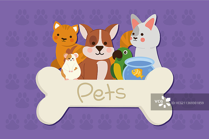 可爱宠物图片素材