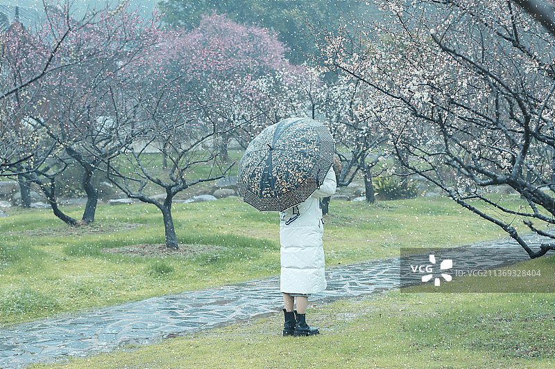 只此青绿赏梅系列图片素材