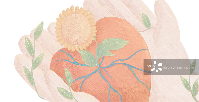 手捧爱心向日葵植物成长环绕绘本插图图片素材