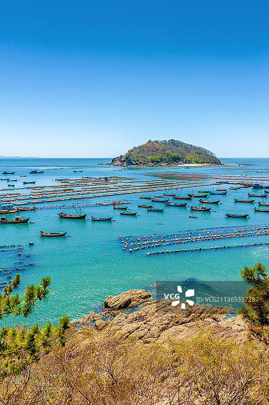 中国辽宁大连长海县小长山岛的海上养殖业图片素材