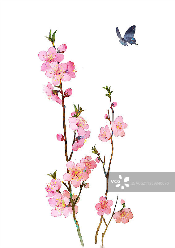 春天桃花水墨插画图片素材