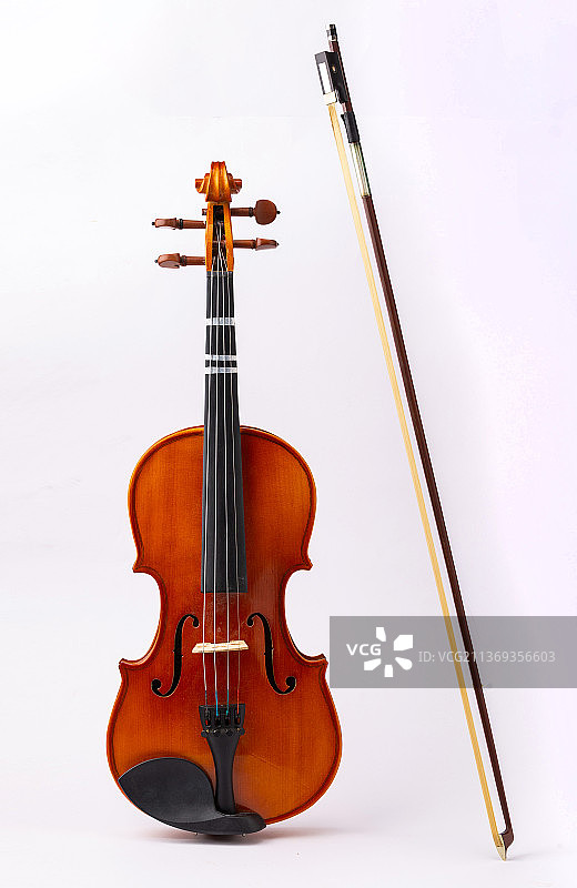 小提琴正面白底图图片素材