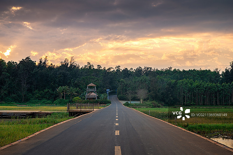 海南省临高县富力悦海湾水稻试验田日落全景图片素材