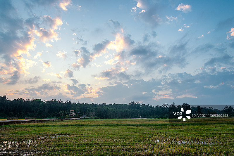 海南省临高县富力悦海湾水稻试验田日落全景图片素材