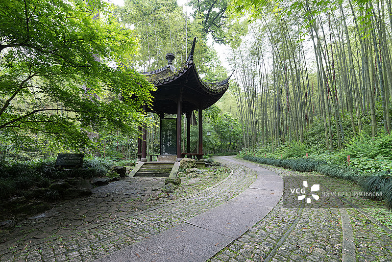 浙江省杭州西湖云栖竹径图片素材