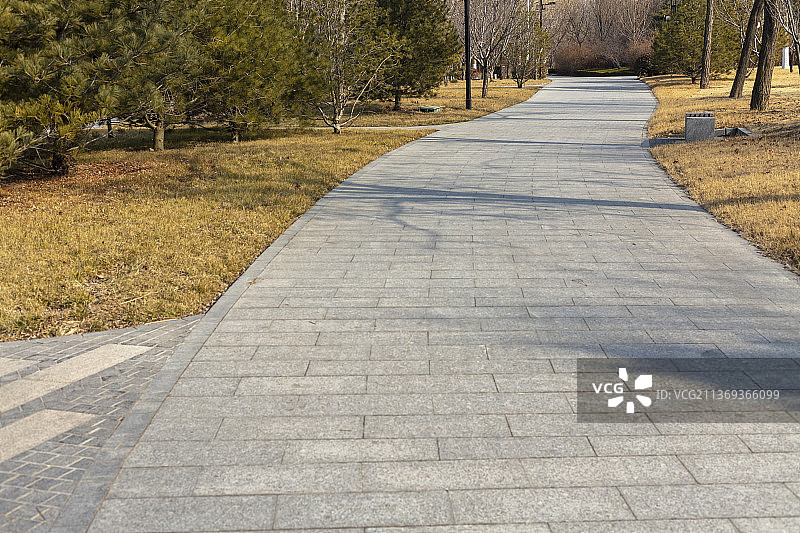 冬天公园里蜿蜒的小路图片素材