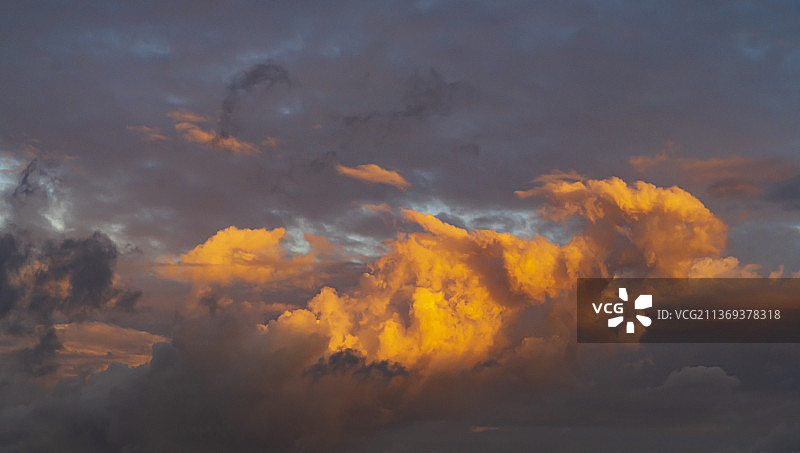 荷花地里的黄色晚霞图片素材