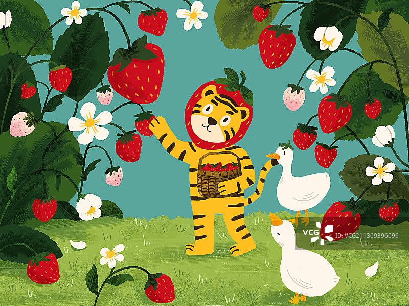 摘草莓的虎图片素材