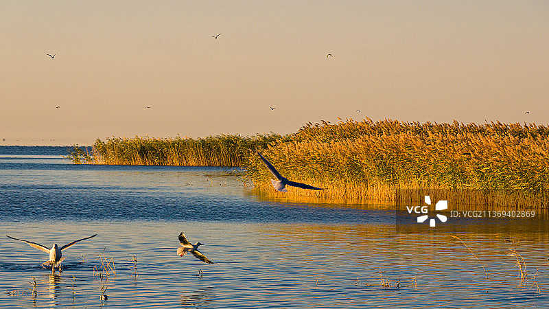 居延海图片素材