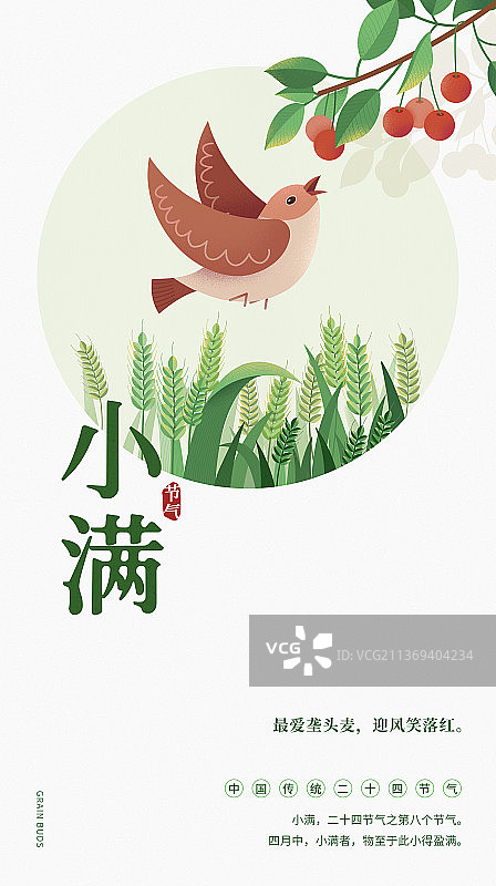 小满节气海报设计模板竖版图片素材