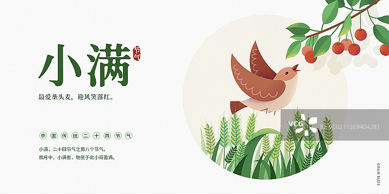 小满节气海报设计模板横版图片素材
