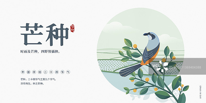 芒种节气海报设计模板横版图片素材