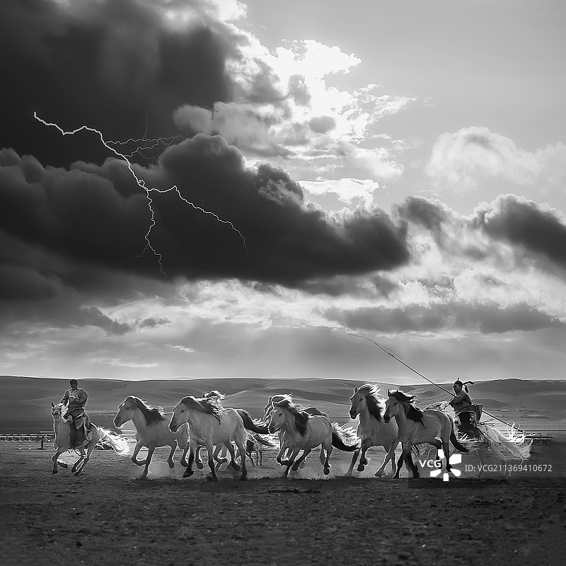 《风驰电掣》图片素材