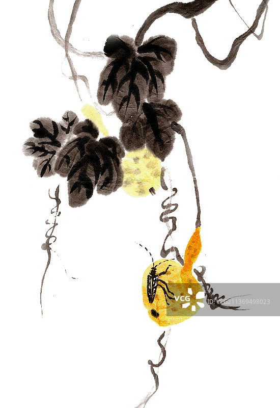 葫芦上的黑牛图片素材