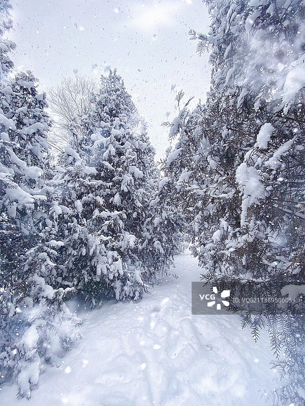 北京雪景图片素材